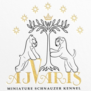 Айварис — стандарт черно-серебряной статуса красоты.